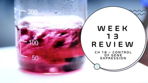 Thumbnail for BIOL 2107 - Dr. Andrews - Week 13 Recap (04/05-11)