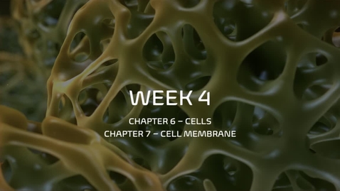 Thumbnail for BIOL 2017 - Dr. Andrew's - Week 4 (02/01-02/07)