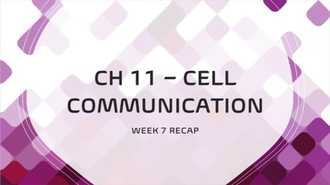 Thumbnail for BIOL 2107 - Dr. Andrews - Week 7 (02/22-28)