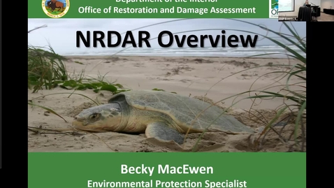 Thumbnail for TRAINING: NRDAR Overview