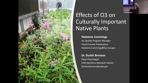 Thumbnail for entry Effect of ozone exposure on 12 herbaceous plants common to the Great Lakes region