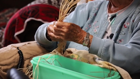 Thumbnail for 2020 TLEF:VG Cultural Event: A Video Showcase from Tribal Nations and Native Villages across the Country
