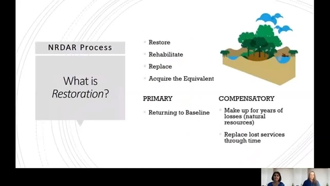 Thumbnail for Intro to Natural Resource Damage Assessment and Restoration (NRDAR)