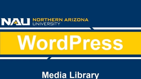 Thumbnail for Wordpress Features &amp; Settings: Media Library
