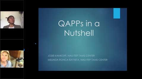 Thumbnail for QAPPs in a Nutshell