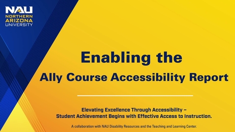 Thumbnail for Enabling the Ally Course Accessibility Report