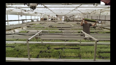 Thumbnail for How Multi-Use Greenhouses Can Serve Communities