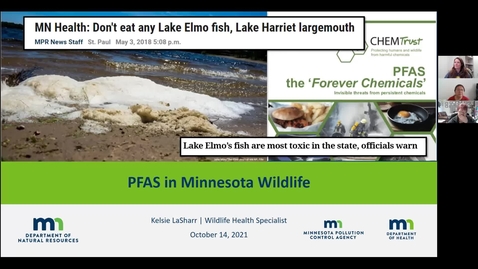 Thumbnail for Tribal PFAS Working Group: MN Dept. of Natural Resources - PFAS in Wildlife