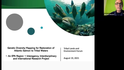 Thumbnail for Genetic Diversity Mapping for Restoration of Atlantic Salmon to Tribal Waters