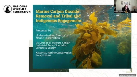 Thumbnail for Marine Carbon