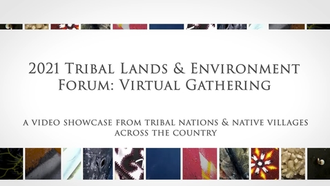 Thumbnail for 2021 TLEF:VG Cultural Presentation
