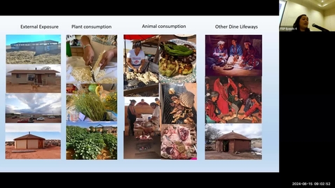 Thumbnail for Tribal Specific Risk Assessment for Superfund Sites - Navajo Nation