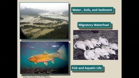 Thumbnail for Coeur d'Alene Basin Natural Resource Restoration from a Tribal Perspective