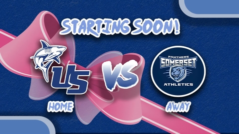 Thumbnail for Dig Pink Volleyball 2025