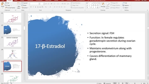 Thumbnail for Steroid Hormone Metabolism2 - 2018 Oct 18 01:52:37