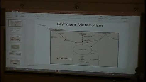 Thumbnail for 8-29 glycogen metabolism.mp4