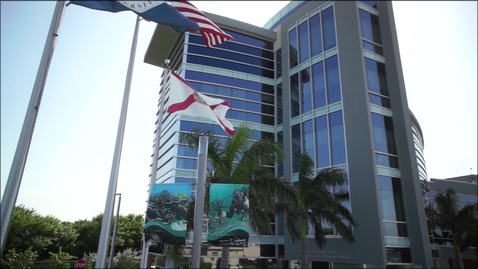 Thumbnail for Chair video: Bernhard Riegl, Department of Marine and Environmental Sciences