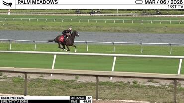 Tiger Eye Pearl worked 4 Furlongs in 48.75 at Palm Meadows on March 6th, 2026