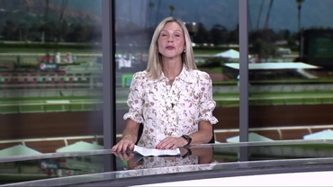 Preview of race 13 The Belmont Stakes on June 6th, 2026