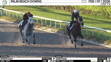 Infinite Light (Outside) and Agate Road Worked 4 Furlongs at Palm Beach Downs on February 7th, 2026