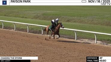 Chasing the Storm Worked 4 Furlongs in 49.80 at Payson Park on November 16th, 2025