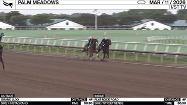 Grand Luxx (Outside) and Flat Rock Road Worked 4 Furlongs in 50.30 at Palm Meadows on March 11th, 2026