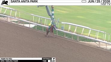 Tiger to You Worked 4 Furlongs in 48.20 at Santa Anita Park on June 25th, 2026