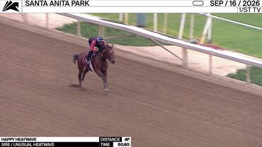 Happy Heatwave Worked 4 Furlongs in 50.60 at Santa Anita Park on September 16th, 2026