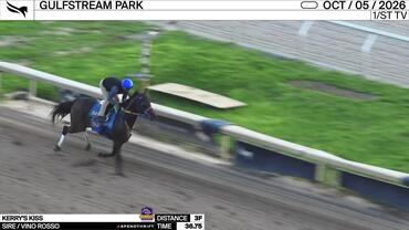 Kerry's Kiss Worked 3 Furlongs in 36.75 at Gulfstream Park on October 5th, 2026