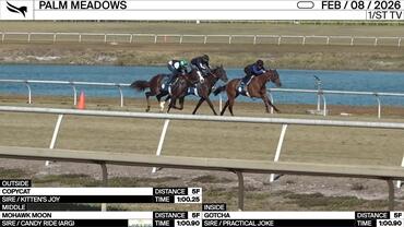 Copycat (Outside), Mohawk Moon (Middle) and Gotcha worked 5 Furlongs at Palm Meadows on February 11th, 2026