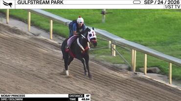 Mobay Princess Worked 4 Furlongs in 48,84 at Gulfstream Park on September 24th, 2026