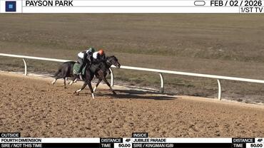 Fourth Dimension (Outside) and Jubilee Parade Worked 4 Furlongs in 50.00 at Payson Park on February 2nd, 2026