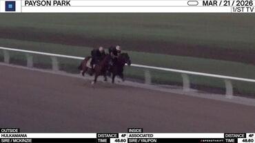 Hulkamania (Outside) and Associated Worked 4 Furlongs in 48.60 at Payson Park on March 21st, 2026