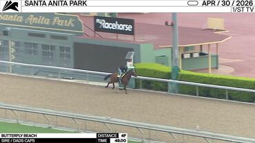 Butterfly Beach Worked 4 Furlongs in 49.00 at Santa Anita Park on April 30th, 2026