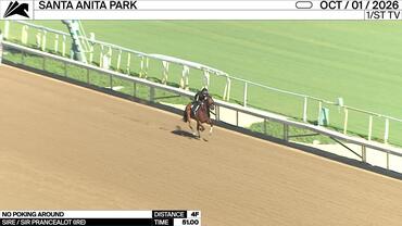 No Poking Around Worked 4 Furlongs in 51.00 at Santa Anita Park on October 1st, 2026