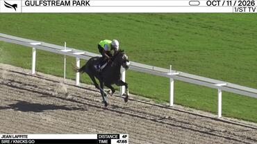 Jean Laffite Worked 4 Furlongs in 47.65 at Gulfstream Park on October 11th, 2026