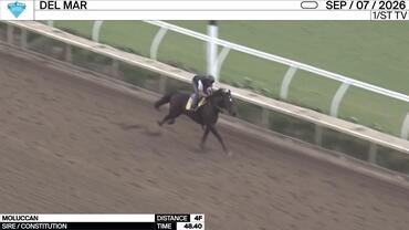 Moluccan Worked 4 Furlongs in 48.40 at Del Mar on September 7th, 2026