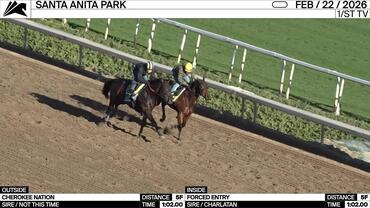Cherokee Nation (Outside) and Forced Entry Worked 5 Furlongs in 1:02.00 at Santa Anita Park on February 22nd, 2026