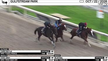 Cairo Battle (Outside), Cool Grey (Middle) and Blue Dial Worked at Gulfstream Park on October 22nd, 2026