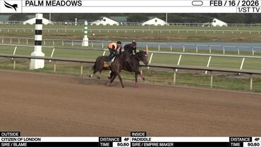 Citizen of London (Outside) and Padiddle Worked 4 Furlongs in 50.50 at Palm Meadows on February 16th, 2026