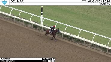 Plagarist Worked 4 Furlongs in 49.40 at Del Mar on August 15th, 2026