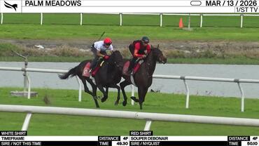 Timeframe (White Shirt) and Souper Debonair Worked 4 Furlongs at Palm Meadows on March 13th, 2026