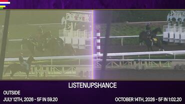 Breeders' Cup Side By Side Workouts on October 31st, 2026