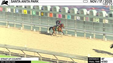 Strait Up Country Worked 4 Furlongs in 47.60 at Santa Anita Park on November 17th, 2025
