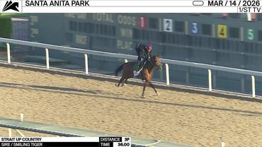 Strait Up Country Worked 3 Furlongs in 36.00 at Santa Anita Park on March 14th, 2026