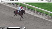 Kingswearcrowns Worked 3 Furlongs in 36.42 at Gulfstream Park on October 19th, 2026
