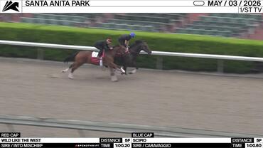 Wild Like the West (Red Cap) and Scipio Worked 5 Furlongs at Santa Anita Park on May 3rd, 2026