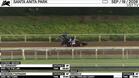 Tiz Lezendary (Outside/Behind), Nomorebuttafingers (Middle) and Virevolte Worked 4 Furlongs at Santa Anita Park on September 19th, 2026