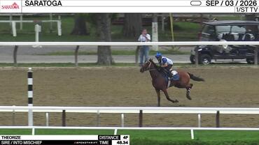 Theorize Worked 4 Furlongs in 48.34 at Saratoga on September 3rd, 2026