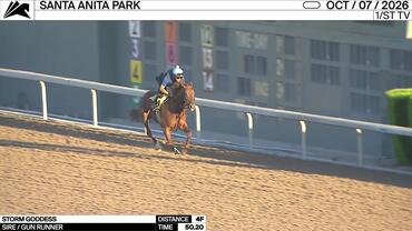 Storm Goddess Worked 4 Furlongs in 50.20 at Santa Anita Park on October 7th, 2026